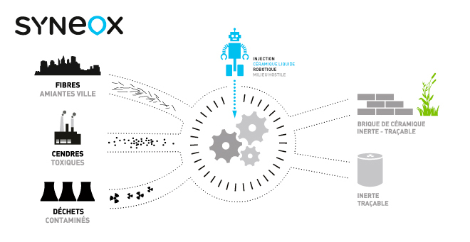 Schema Syneox