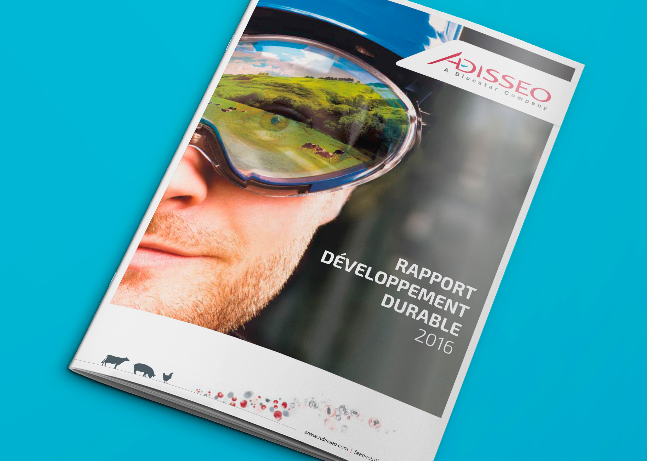 Adisseo Rapport de Développement Durable 2016